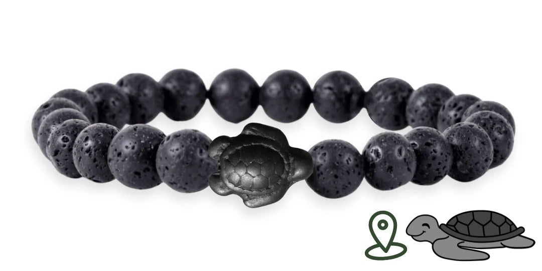 Tracking-Armband – Adoptieren Sie ein Meerestier - Bild 10