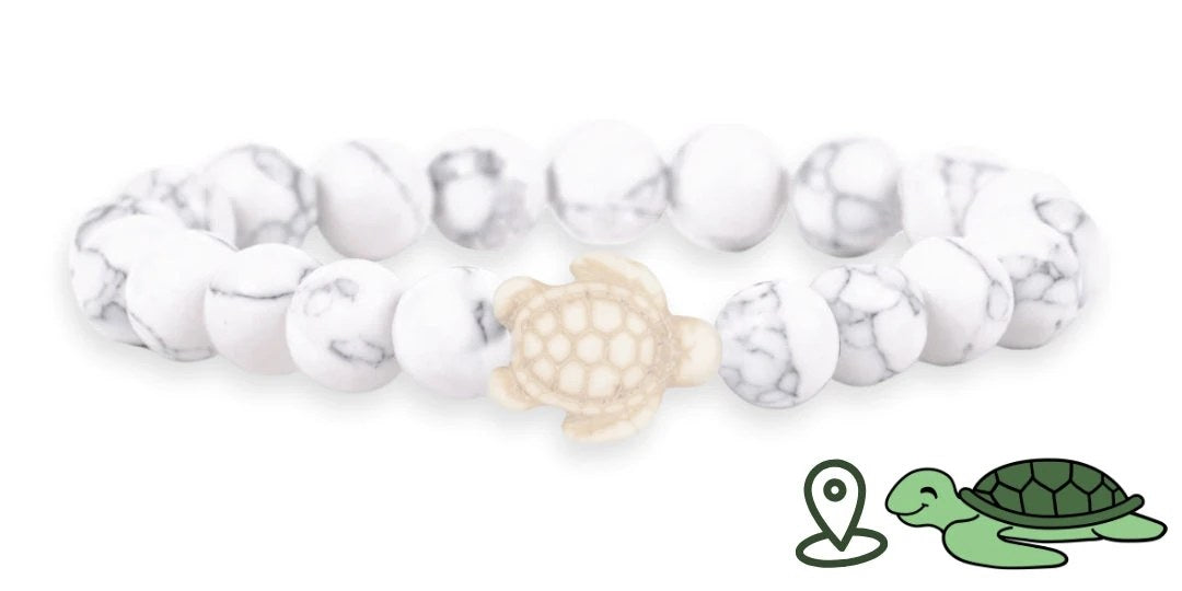 Tracking-Armband – Adoptieren Sie ein Meerestier - Bild 12