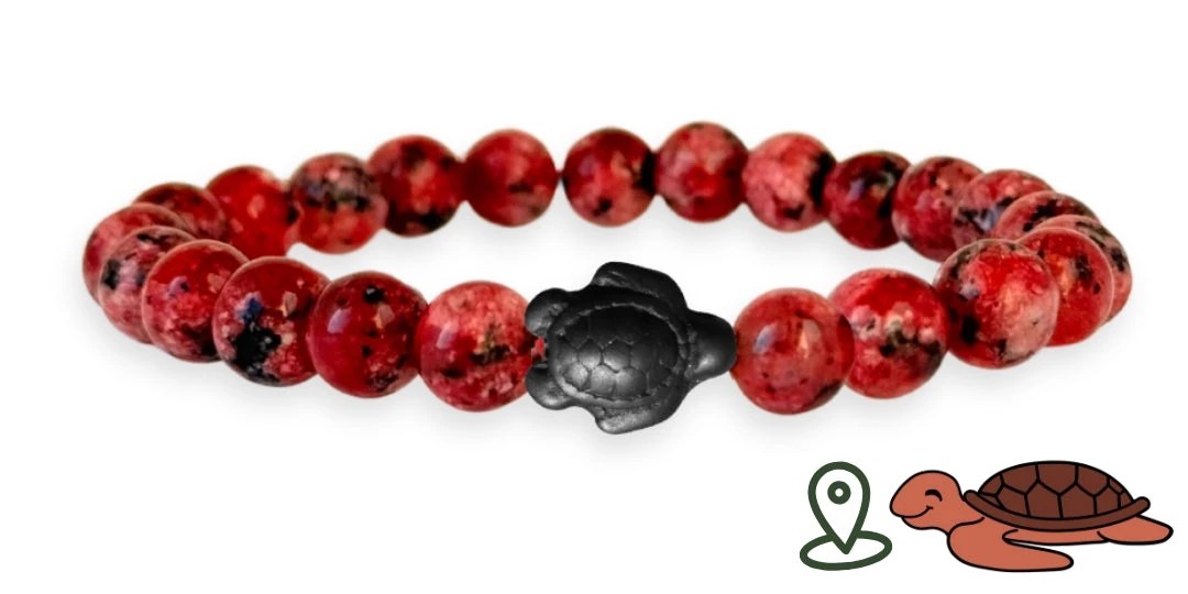 Tracking-Armband – Adoptieren Sie ein Meerestier - Bild 13