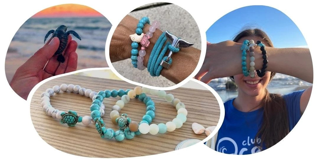 Tracking-Armband – Adoptieren Sie ein Meerestier - Bild 3
