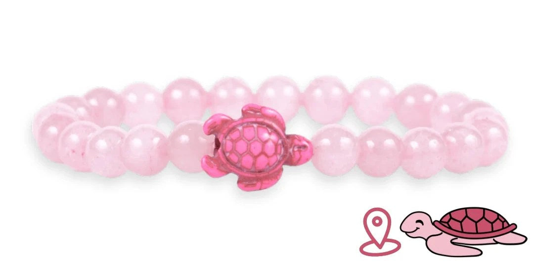 Tracking-Armband – Adoptieren Sie ein Meerestier - Bild 9